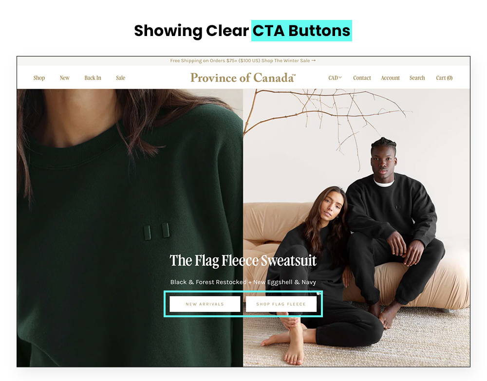 Showing Clear CTA Buttons